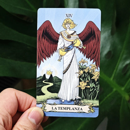 Tarot Espejo Secreto · Baraja Ilustrada